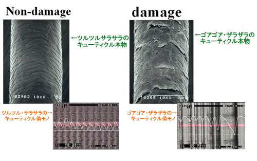 ~TACTILE~ レーザ微細加工と触感!!:(株)リプス・ワークス