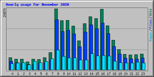 Hourly usage for November 2020