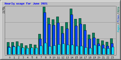 Hourly usage for June 2021